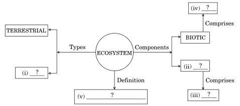 Complete the following flow chart based on ecosystem and its components